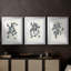 «Growing Leaves IV», impression encadrée sur mesure de qualité supérieure - 3 pièces-806555165-806555152
