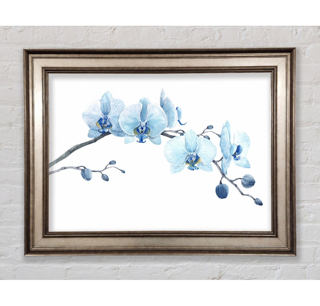 Die blaue Orchideen-Kurve - Druck