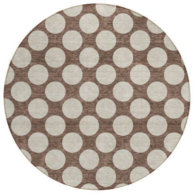  Colturo Area Rug