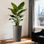 Ensemble de 2 pots de fleurs de 21,7 po de hauteur pour plantes d'extérieur Jardinière carrée de style moderne-792027900