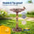Outdoor Polyresin Antique Bird Bath with Solar Powered Round Pond Fountain-988849792