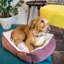 Aranza Geometric Polyester Pet Bed-1735410563