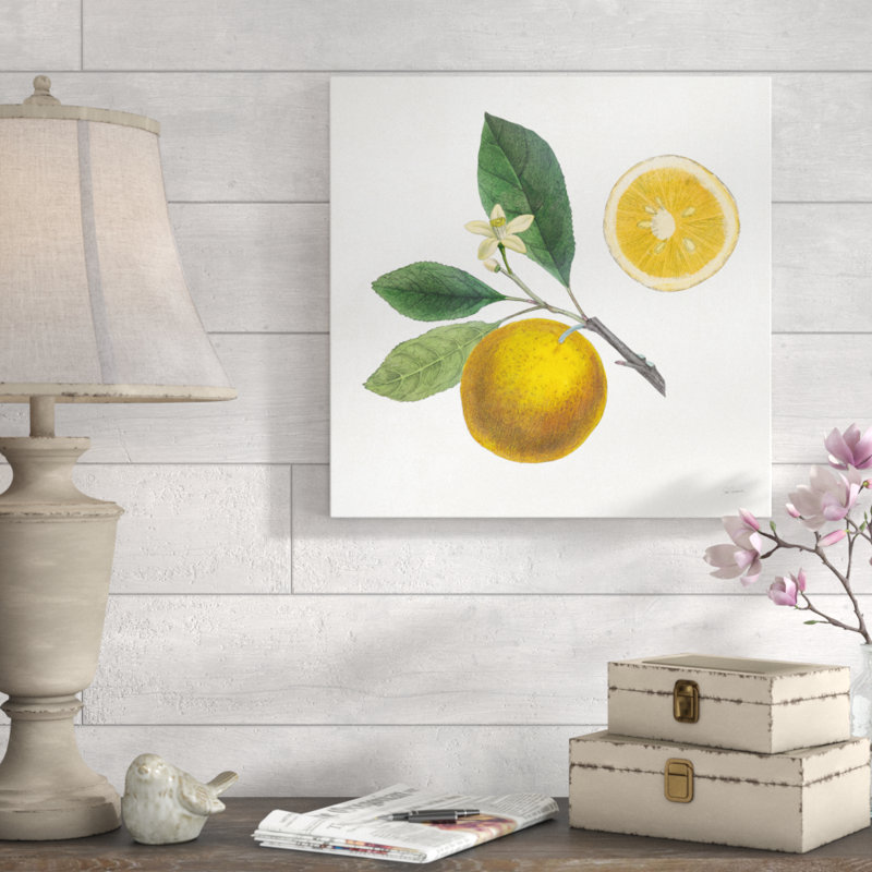 Classic Citrus II by Sue Schlabach - Wrapped Canvas Print, 51cm H x 51cm W