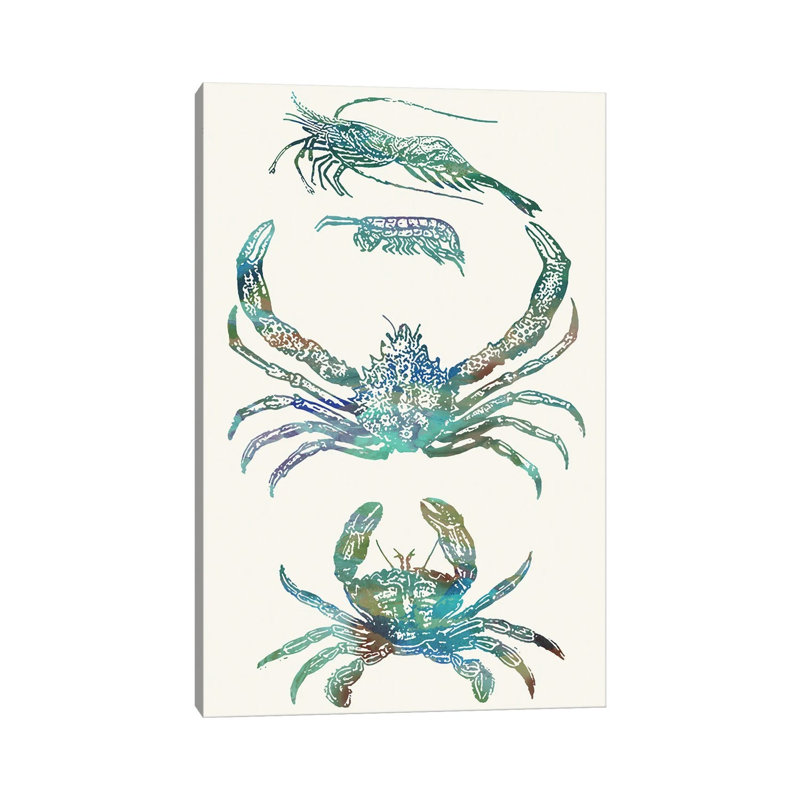Aquatic Assemblage VIII by Sharon Chandler - Wrapped Canvas Painting, 101.6 cm H x 66.04 cm W x 1.91 cm D