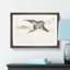 Common Crane by Numata Kashu - Picture Frame Painting Print-55686466-55686476