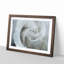 White Rose - Single Picture Frame Painting on MDF-56739386-56739389