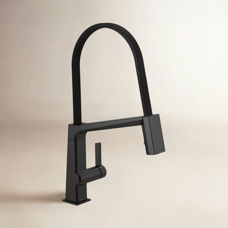 Pivotal Single Handle Exposed Hose Kitchen Faucet, Matte Black