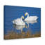 Drôle de scène amusante «Whooper Silly Whooper»-2085462310