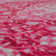 Lofland Oriental Medallion Pink Area Rug