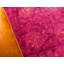 Tapis oriental rouge Nadene-29199375