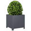 Ashvini Planter Box-501376784-501376799