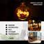 Vintage Love LED Bulbs 4W Edison Bulb Super Globe 125 Warm Specialty Decorative Light Bulb Pack 10