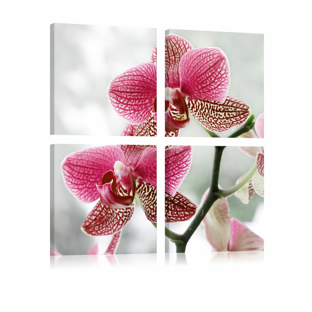 4-tlg. Leinwandbilder-Set Ausgefallene Orchidee