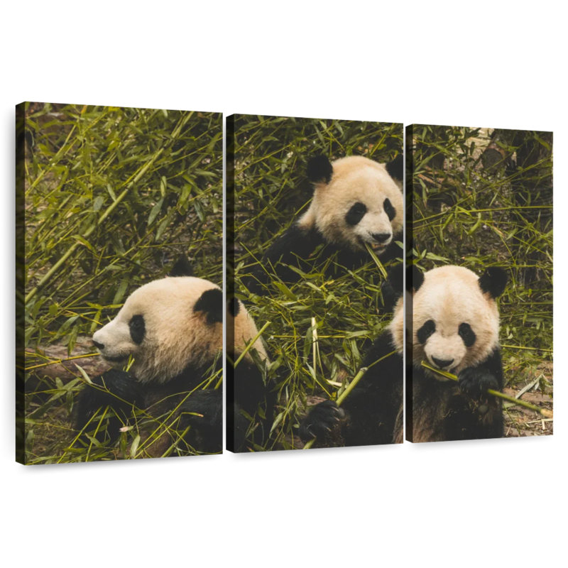 Three Hungry Pandas, 24" H x 38" W