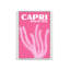 Capri-1816888707-1816888705