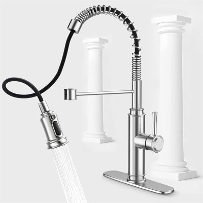 Pull out Single Handle Kitchen Faucet with Accessories -  KIKO HOME, KK-RD-0033-BN