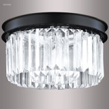 Contemporary Europa 2 - Light Flush Mount