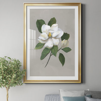 " Botanical Magnolia " Painting Print