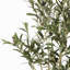 ARBRE D'OLIVE ARTIFIQUE 120CM