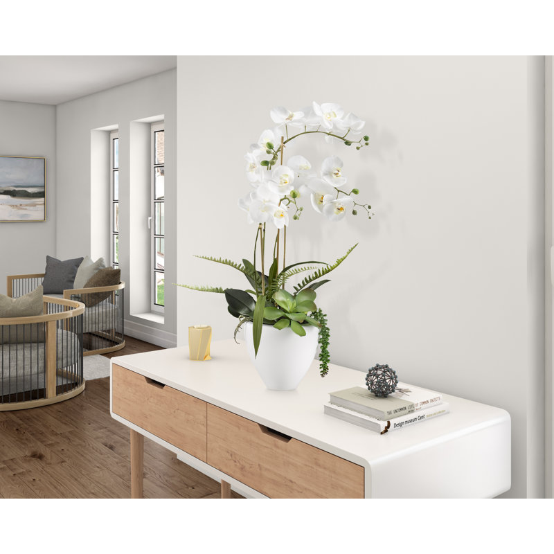 Arrangement floral orchidées dans un bol en céramique