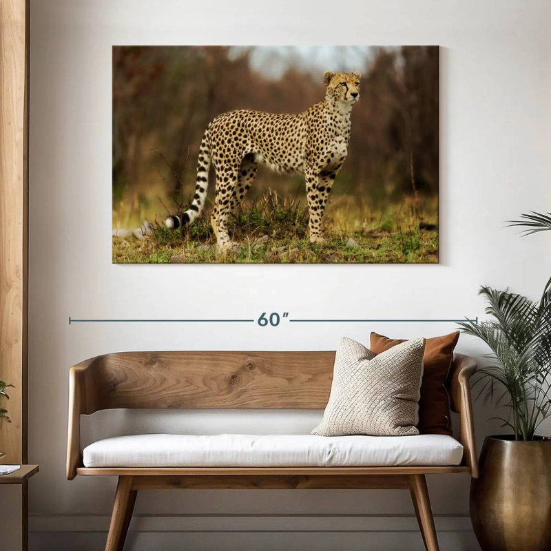 Guépard regardant sa proie, H 32 po x l 48 po