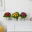 Arrangement floral artificiel en pot kalanchoe