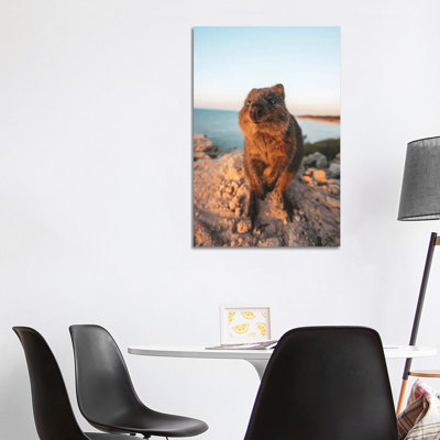 Inquisitive Quokka Rocky Headland by James Vodicka - Wrapped Canvas Gallery-Wrapped Canvas Giclée
