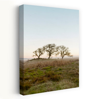 Oak Tree #34 - Photography Art