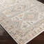 Eldon Pale Pink/Teal Rug-955960329