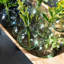Glass Sphere Bud Vase-768581689
