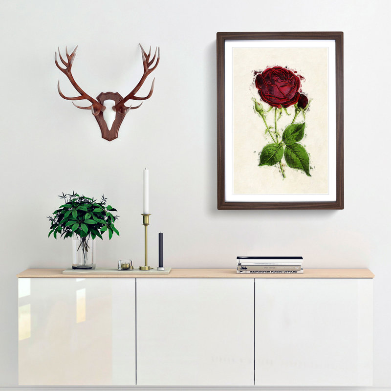Illustration of a Red Prince Noir Rose - Picture Frame Painting Print, 48cm H x 36cm W x 2cm D, Walnut Framed