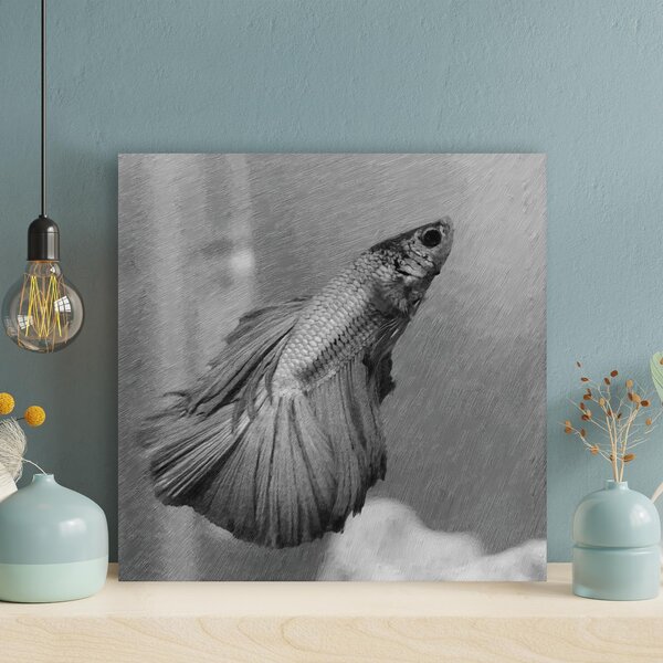 Rosecliff Heights Gray Betta Fish On Canvas Painting 