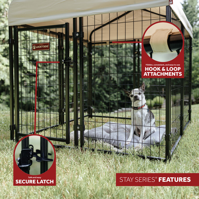Black Powder Coat Steel Frame Outdoor Dog Kennel with Waterproof Canopy