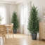 Set of 2 artificial cypress trees-135948704