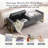 Drewes 66'' W Velvet Upholstered Storage Bench for Bedroom End of Bed King Size with Button-Tufted and Metal Gold Legs-45669442