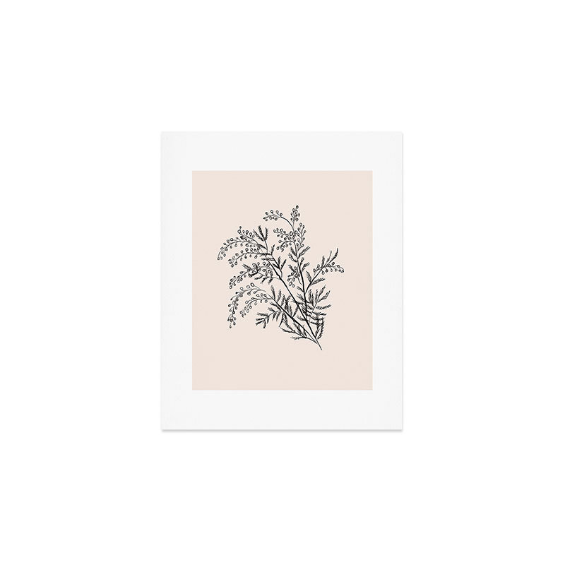 Anis Illustration Minimal Acacia Branch, reproduction d'art non encadrée, H 10 po x l 8 po