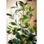 Pot de fleurs vert artificiel Bay Tree