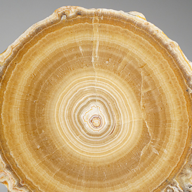 Genuine Aragonite Stalactite Slice From Mexico (471 Grams)