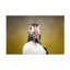 Art sur toile «ologic bolologia »-109345134