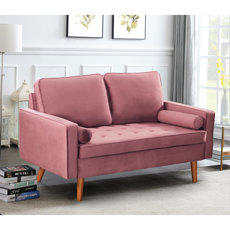 Ellysia 58'' Velvet Loveseat, Tea Rose Velvet