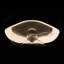 Ceiling Fan with LED Lights