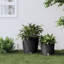 Seyed Pot Planter