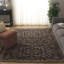 Oriental Hand-Knotted Blue / Gold Area Rug-1460860104