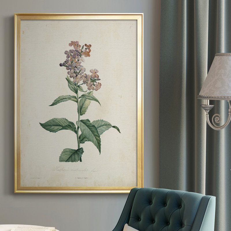 Toile encadrée de qualité supérieure Traditional Botanical II - prête à être accrochée, H 24,5 po x l 18,5 po x P 1 po, Or