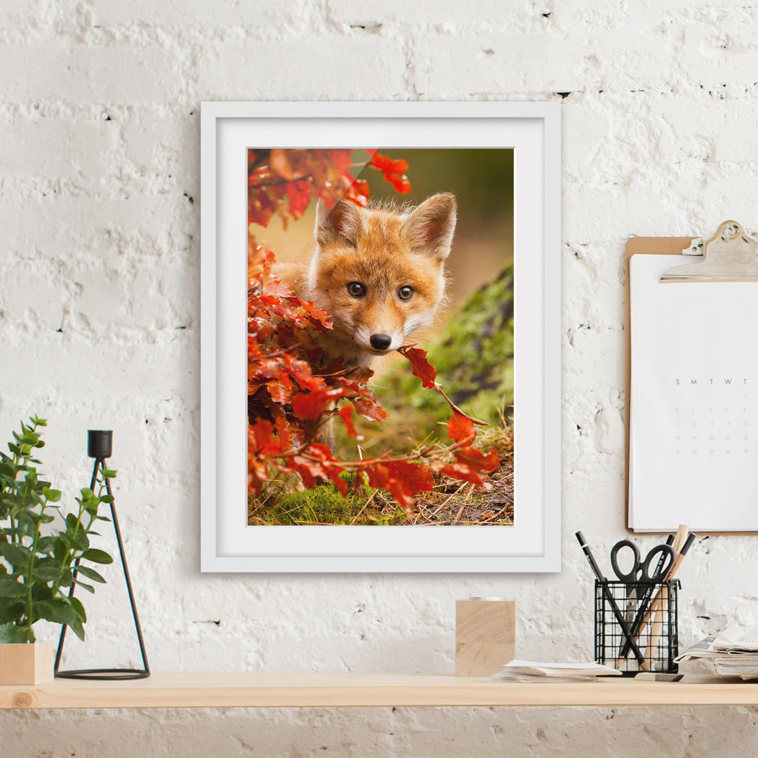 Gerahmtes Papierbild Fuchs im Herbst