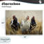 Chickens In Wheat Field, plaque murale, design par Tina LeCour-1807138989