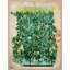 Green Leaves Print by Paule Marrot-1390795978-1390795979