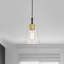 Cassand 1-light Modern Pendant With Clear Cone Glass Shade-1202397197