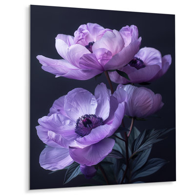 Robison - pivoines, décoration murale