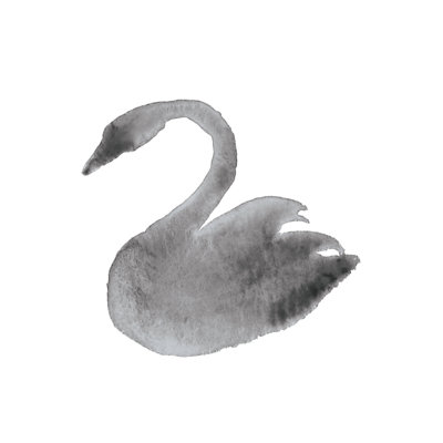 Watercolour Swan - Wrapped Canvas Painting